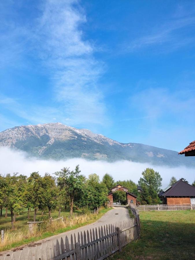 Bed and Breakfast Visitor Yard Плав Экстерьер фото