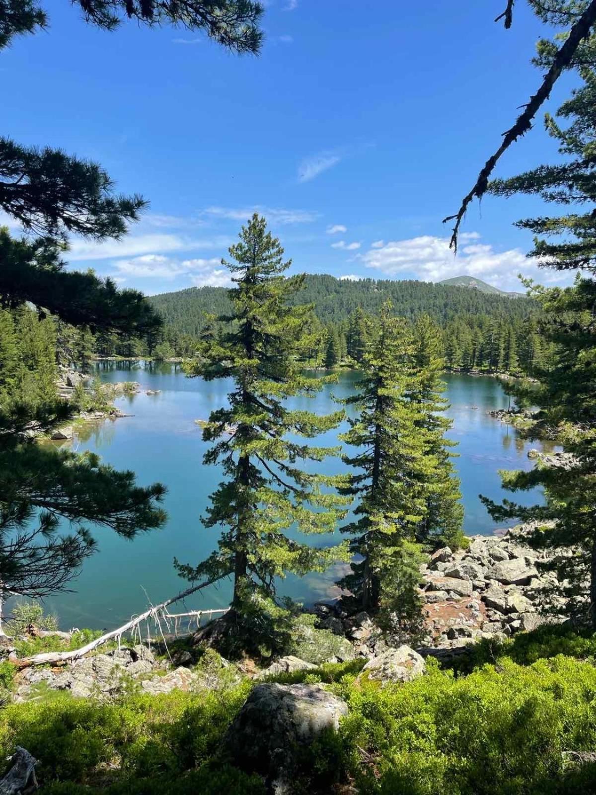 Bed and Breakfast Visitor Yard Плав Экстерьер фото