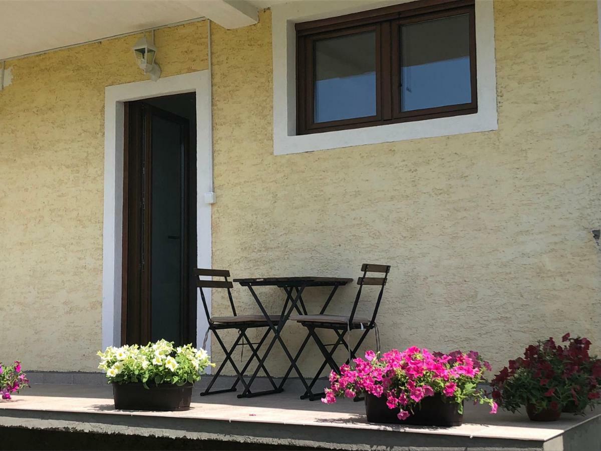 Bed and Breakfast Visitor Yard Плав Экстерьер фото