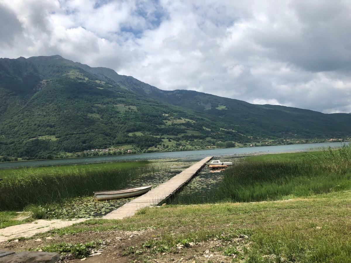 Bed and Breakfast Visitor Yard Плав Экстерьер фото