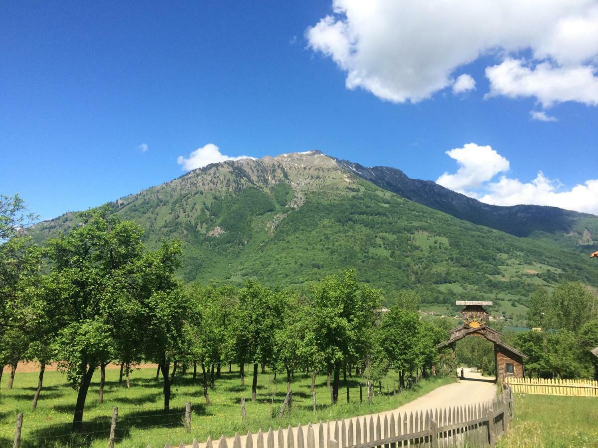 Bed and Breakfast Visitor Yard Плав Экстерьер фото